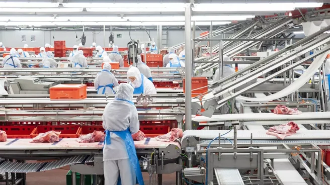 Producción en una empresa cárnica. Producción en una empresa cárnica.