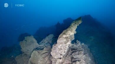 Tubos lávicos y ‘pillow’ lavas; así es el fondo marino que deja el volcán de La Palma