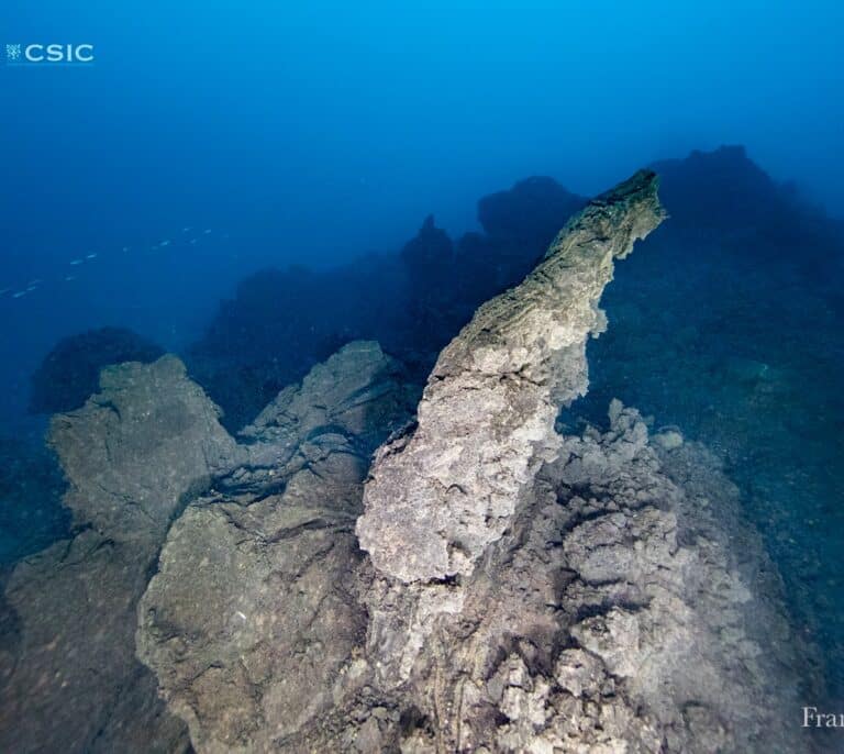 Tubos lávicos y ‘pillow’ lavas; así es el fondo marino que deja el volcán de La Palma