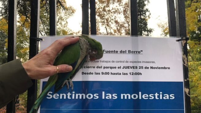 Un animalista sujeta una cotorra muerta junto al cartel que avisa del cierre del parque.