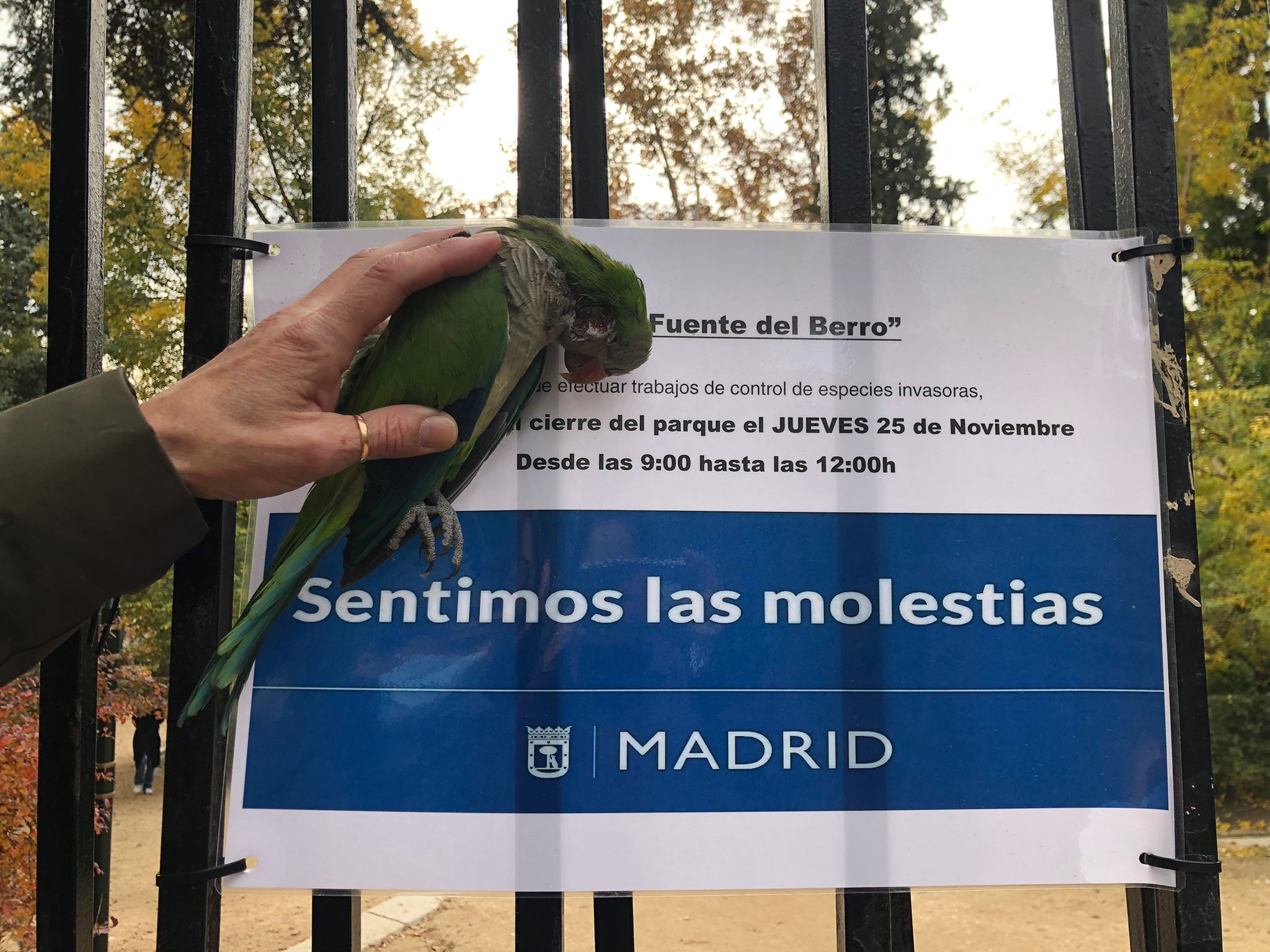 Un animalista sujeta una cotorra muerta junto al cartel que avisa del cierre del parque.