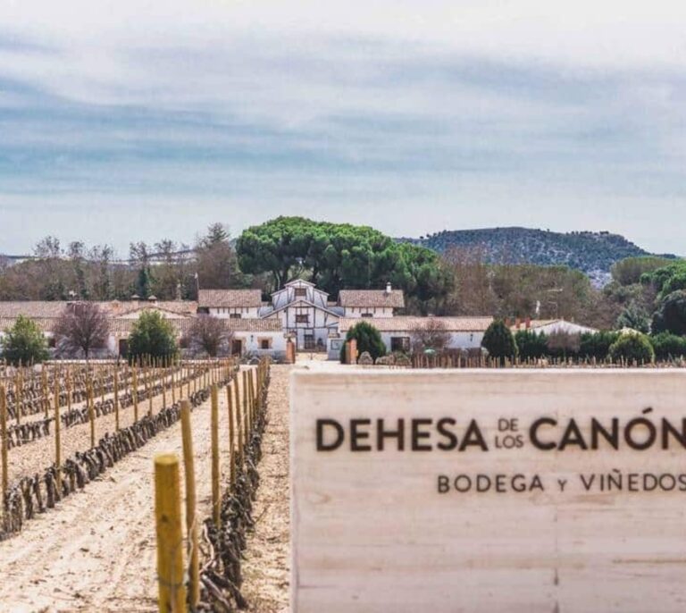 Los mejores vinos de los premios de la Guía Vinos Gourmets (GVG)