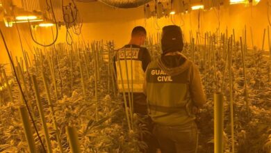 Detenidas una veintena de personas dedicadas al cultivo de marihuana y al blanqueo en apuestas deportivas