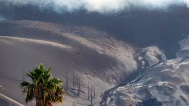 Lahares, los ríos de lodo volcánico que amenazan a La Palma con las lluvias