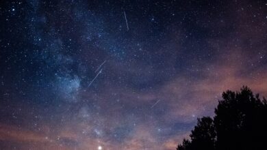 Leónidas: la mejor noche para ver la lluvia de estrellas de noviembre 2021