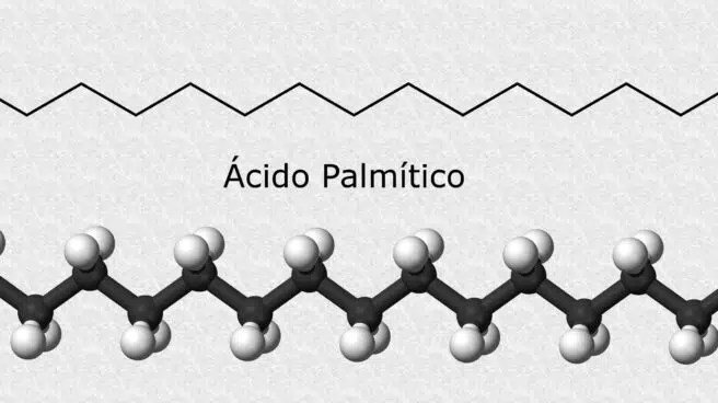Un ácido graso de aceite de palma aumenta el riesgo de que se propague el cáncer