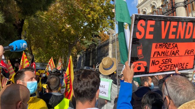 Agricultores protestan en Madrid por la subida de los costes de producción. Agricultores protestan en Madrid por la subida de los costes de producción.