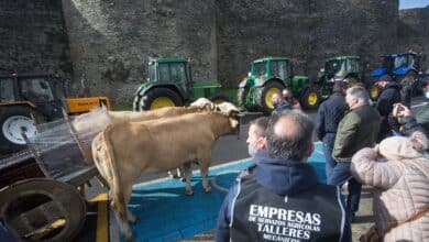 El 35% de las granjas de leche de España han cerrado en los últimos seis años por la crisis de precios