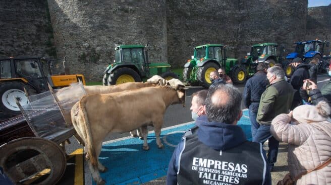 Ganaderos protestan con sus reses y sus tractores por los precios de la leche, en Lugo. Ganaderos protestan con sus reses y sus tractores por los precios de la leche, en Lugo.