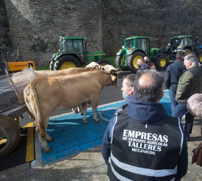 El 35% de las granjas de leche de España han cerrado en los últimos seis años por la crisis de precios
