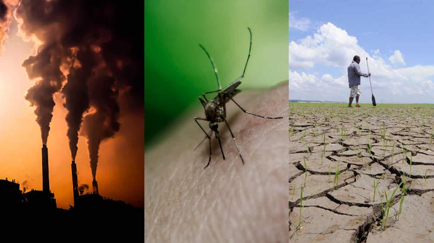 De los mosquitos a las olas de calor: la mayor amenaza para la salud es ya el cambio climático