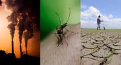 De los mosquitos a las olas de calor: la mayor amenaza para la salud es ya el cambio climático