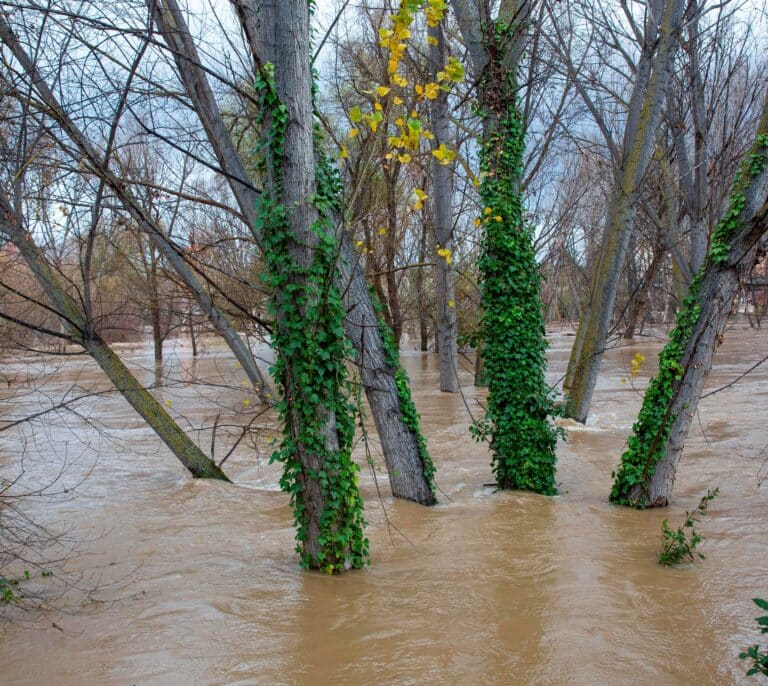 La UME despliega 292 militares, 102 vehículos y 1 helicóptero para hacer frente a la crecida del Ebro en Aragón