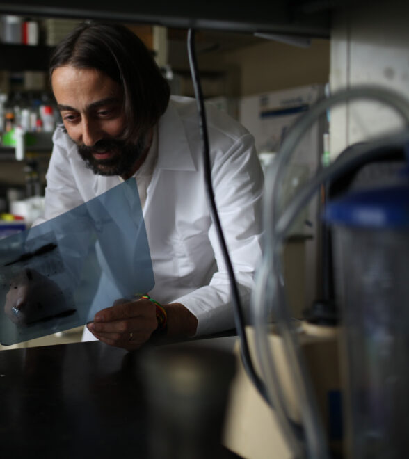 El virólogo Adolfo García-Sastre, en su laboratorio del Hospital Monte Sinaí de Nueva York.