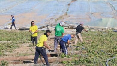 ¿Qué opinan los expertos de la reforma laboral?