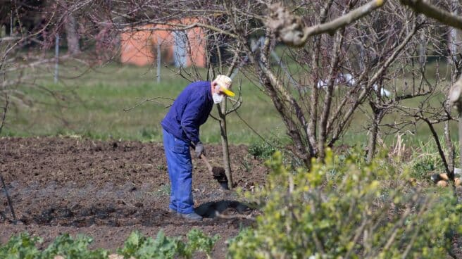 Un agricultor trabaja en el campo en Lugo.