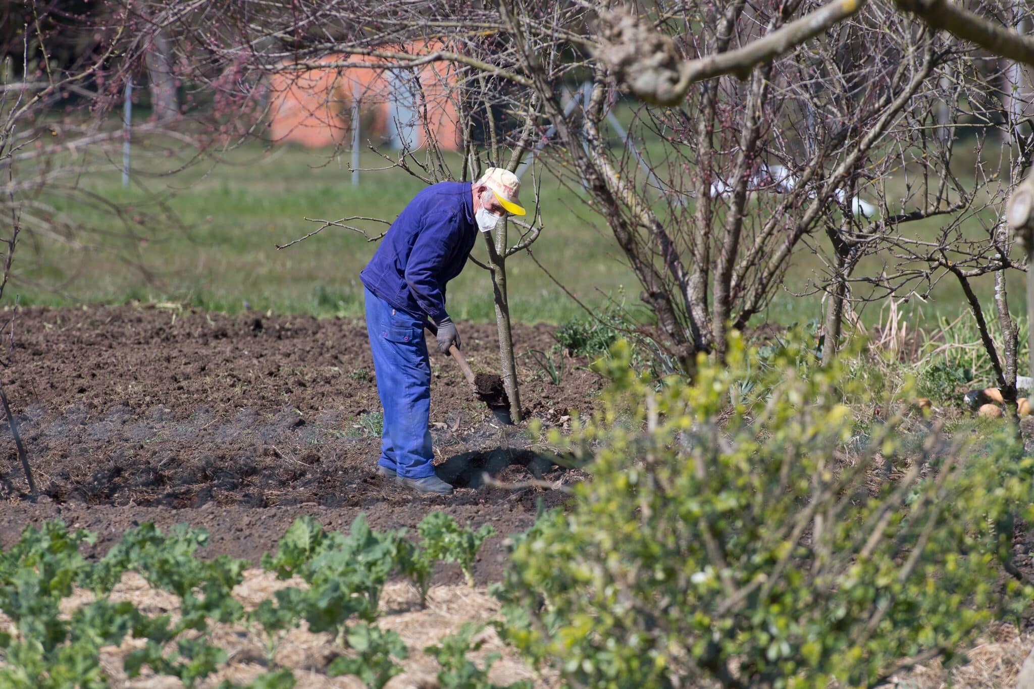Un agricultor trabaja en el campo en Lugo.