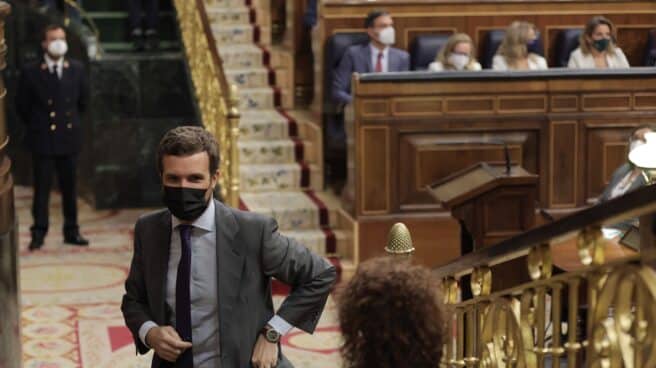 El líder del PP, Pablo Casado, en una sesión de control al Gobierno.