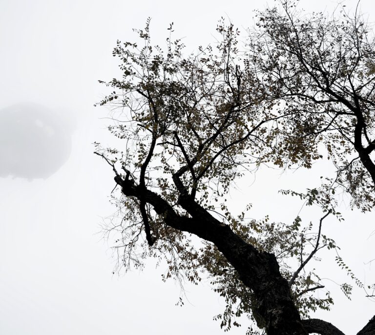 Estas son las 25 provincias en alerta por viento, aludes y nieve, cuya cota baja a 500 metros