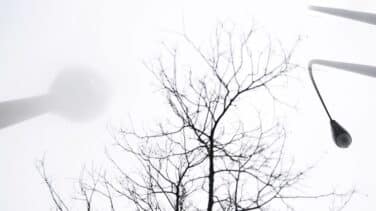 Precipitaciones localmente fuertes y niebla extensa en la mayor parte del país