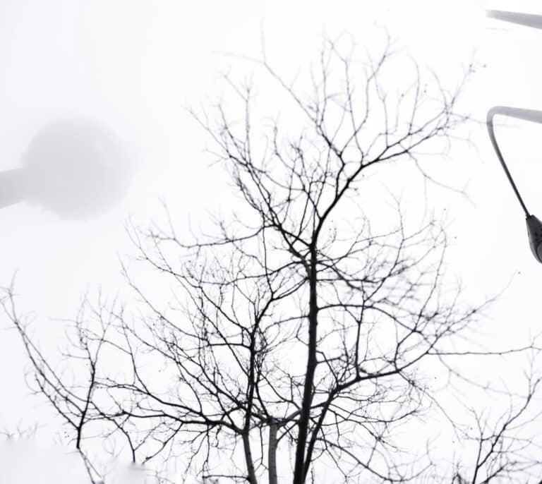 Precipitaciones localmente fuertes y niebla extensa en la mayor parte del país