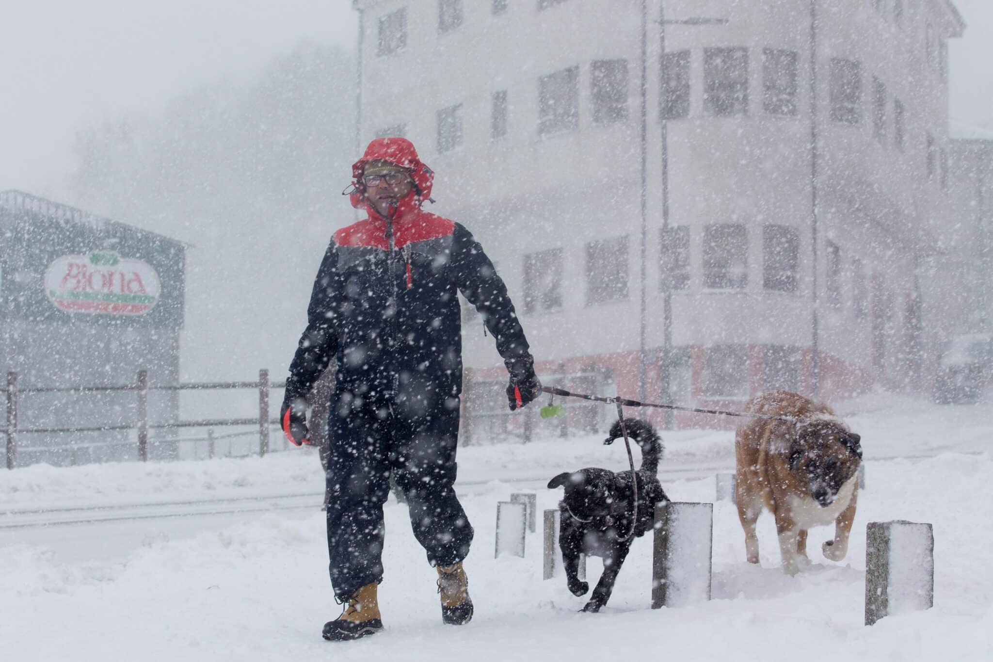 Una persona camina con dos perros por una vía nevada.