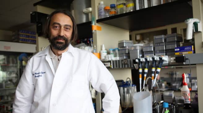 El virólogo Adolfo García-Sastre, en su laboratorio del Hospital Monte Sinaí de Nueva York.