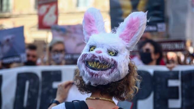 Manifestación por el rescate de animales de laboratorios