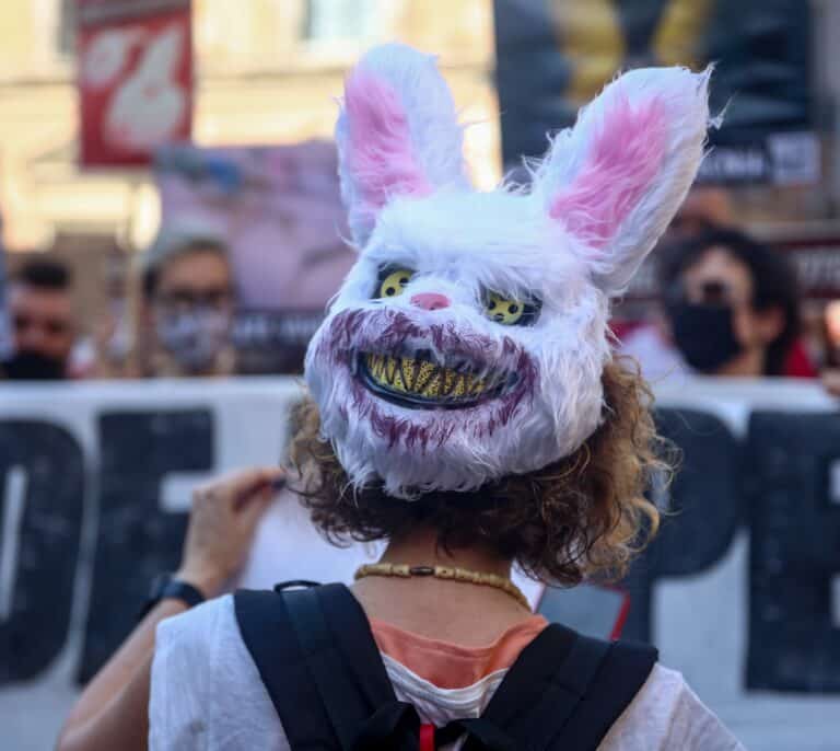 Mejorar el bienestar animal nos interesa a todos