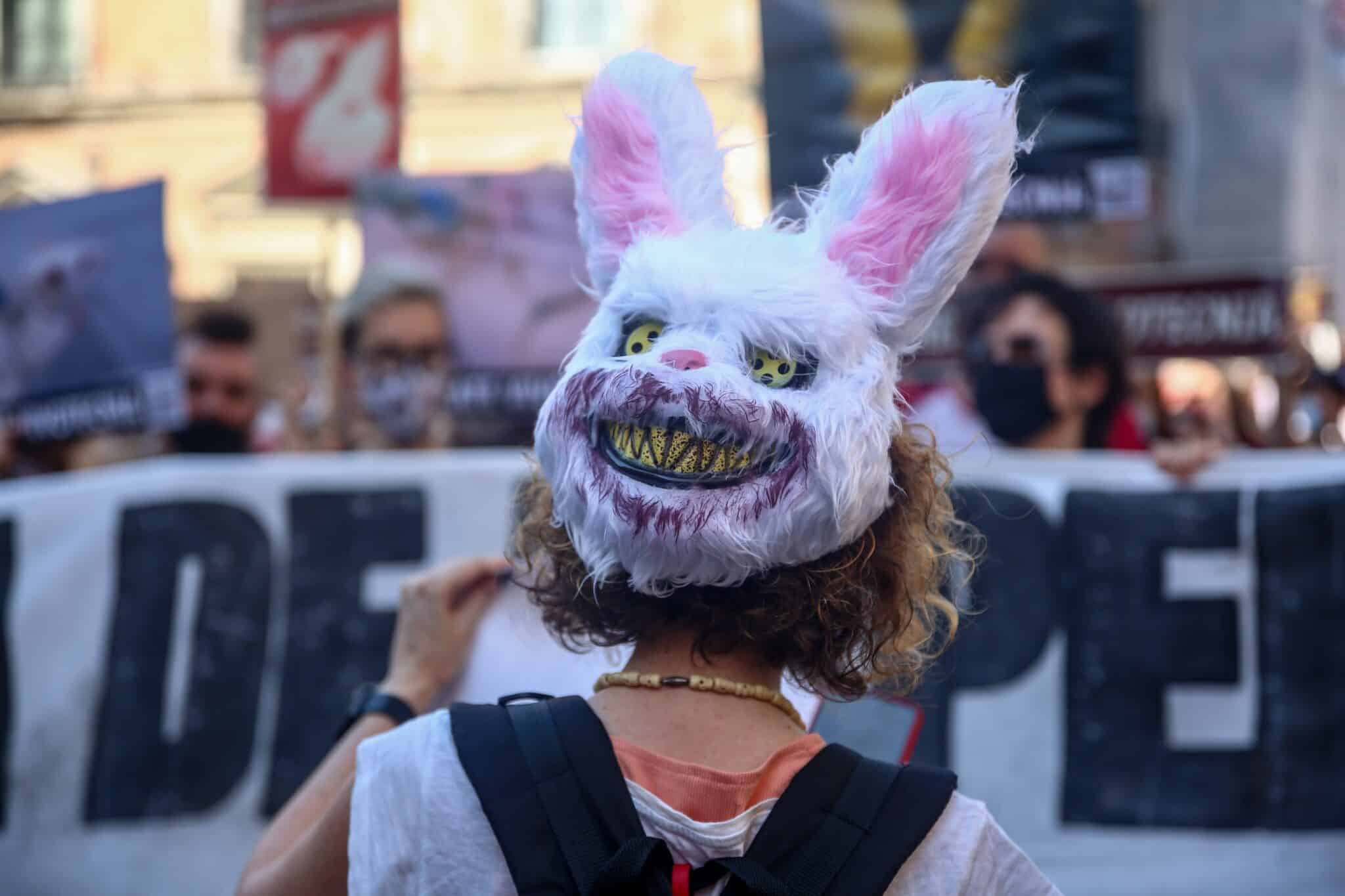 Manifestación por el rescate de animales de laboratorios