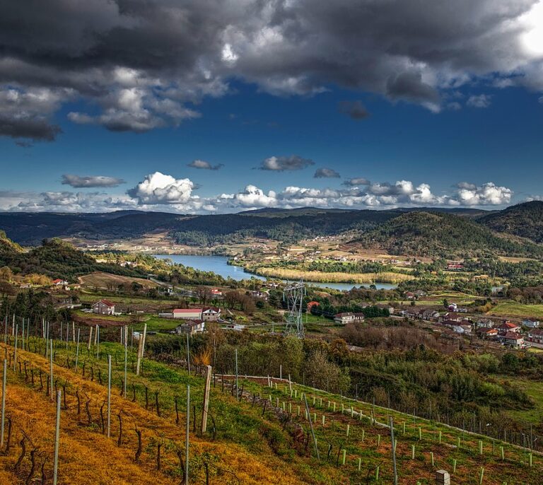 Detenida una sospechosa de quemar a un hombre que conoció por internet