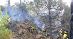 Movilizan a 60 efectivos y cinco camiones autobomba por un incendio forestal en Granada