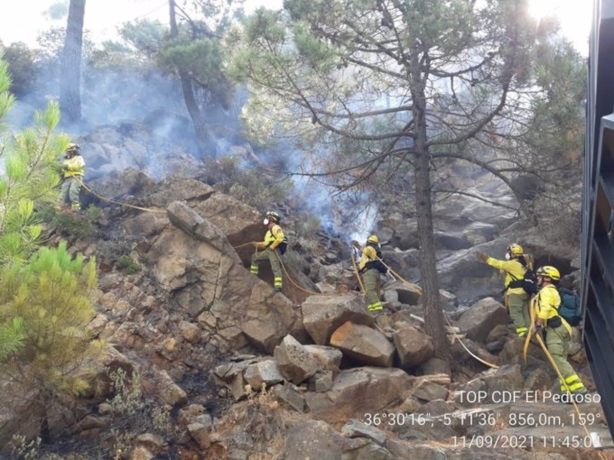Movilizan a 60 efectivos y cinco camiones autobomba por un incendio forestal en Granada