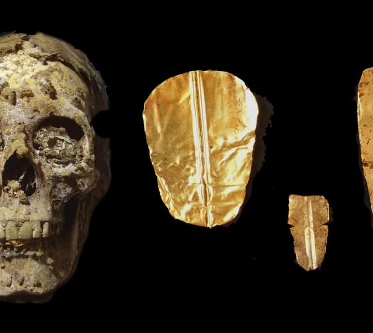 Lenguas de oro para la vida de ultratumba, un hallazgo español en Egipto