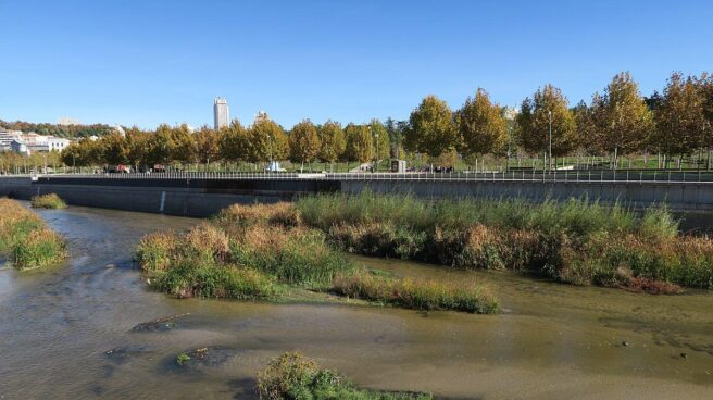 Tramo renaturalizado en el río Manzanares, en Madrid.