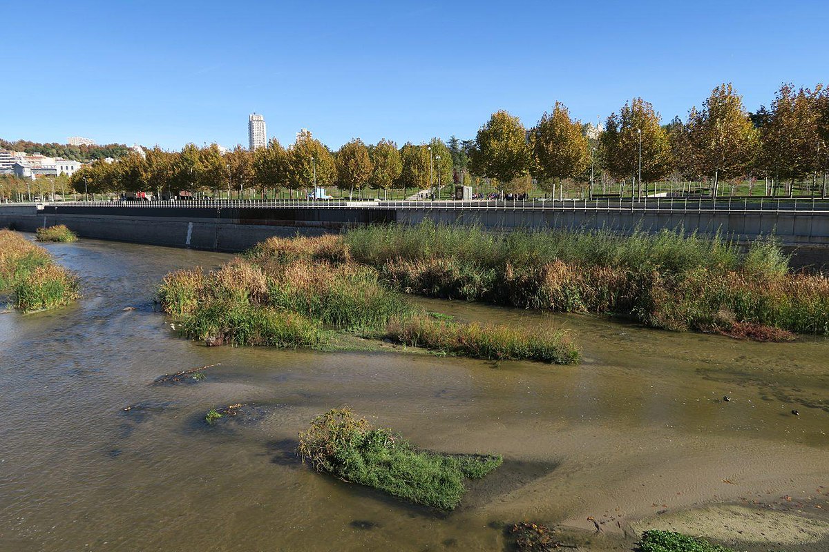 Tramo renaturalizado en el río Manzanares, en Madrid.