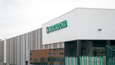 Mercadona, Carrefour, Lidl, Eroski y Dia acaparan ya el 51% del mercado en España