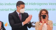 La Abogacía dice que Greenpeace acusa al Gobierno de inacción contra el cambio climático "sin base científica"