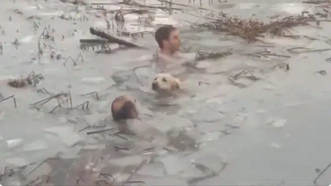 VÍDEO | Dos guardias civiles se tiran al agua congelada para salvar a un perro en los Pirineos