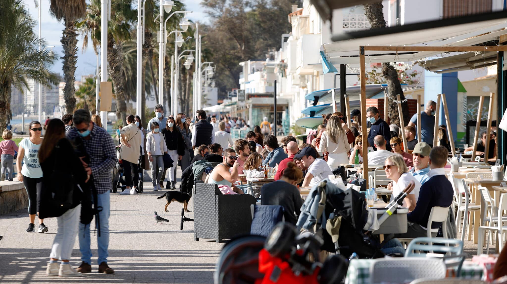 Ambiente de navidad en Málaga.