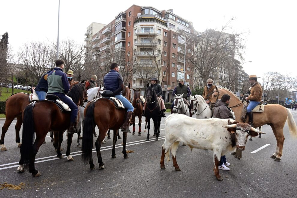 En la imagen, participantes a caballo esperan en el Paseo de la Castellana a que comience la protesta.
