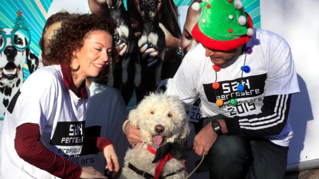 Una mascota posa junto a sus dueños este lunes en Madrid en el marco de la tradicional "Sanperrestre", una carrera 'perruna' que reivindica la necesidad de adoptar, proteger y cuidar a los animales y también de disfrutar junto a ellos.