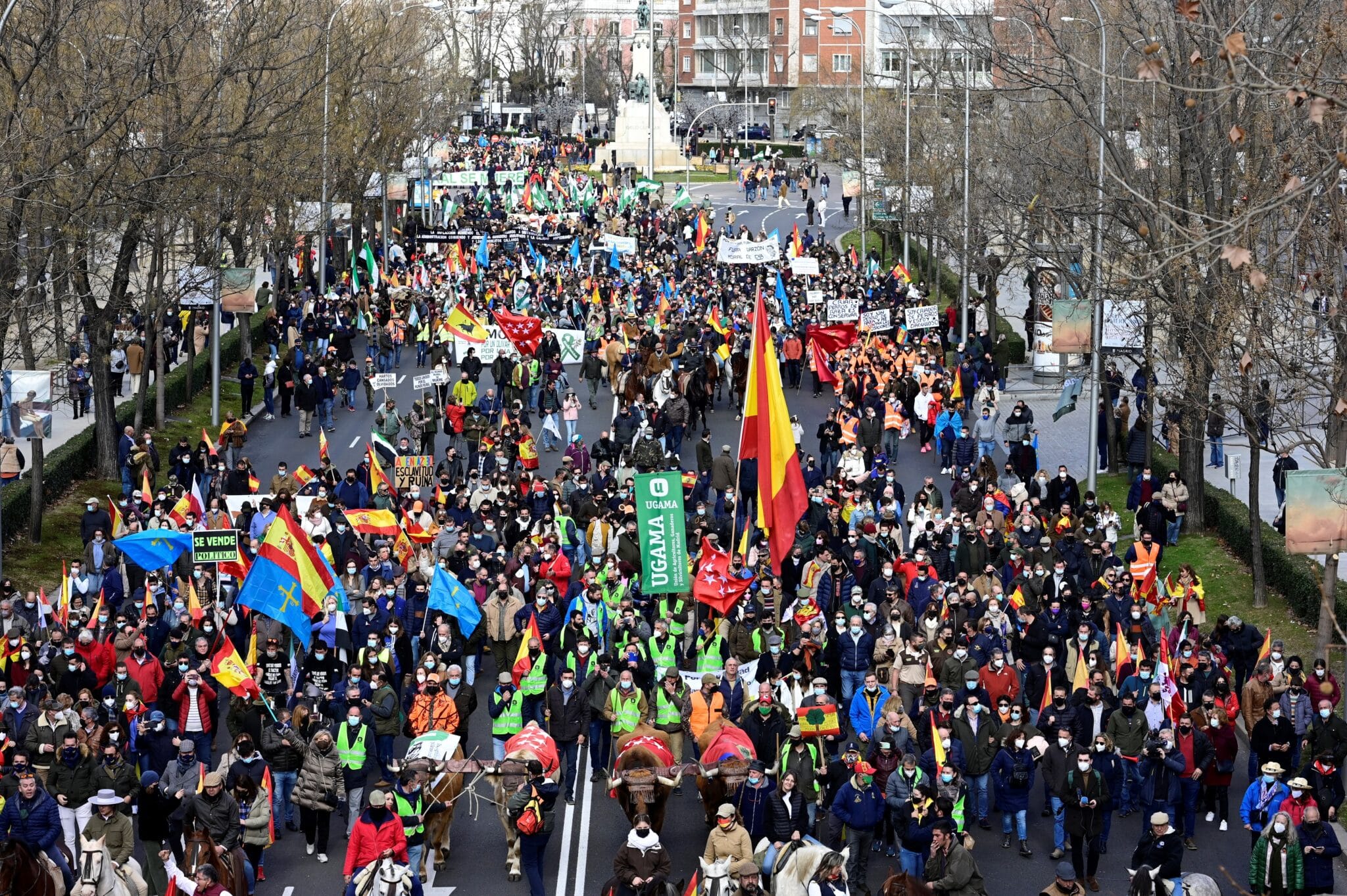 Miles de personas participan en una manifestación de protesta por la situación que sufre el mundo rural y sus actividades, especialmente las labores desarrolladas por el sector primario, hoy en Madrid.