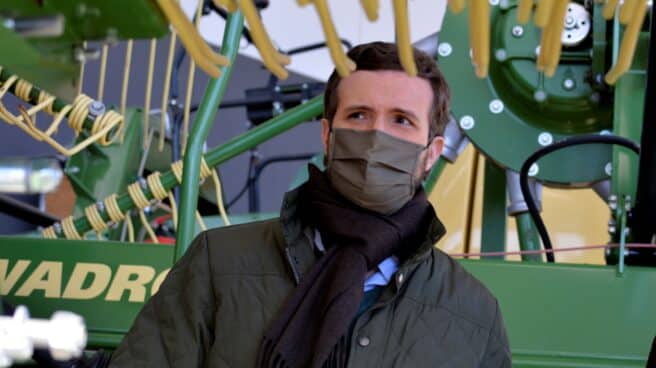 El presidente del Partido Popular, Pablo Casado, visita la empresa Farming Agrícola en Villamartín de Campos (Palencia), este domingo.