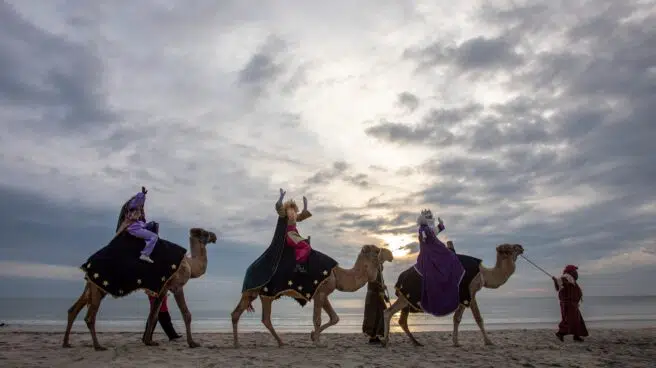 Un centenar de artistas piden que no haya animales en las cabalgatas de Reyes
