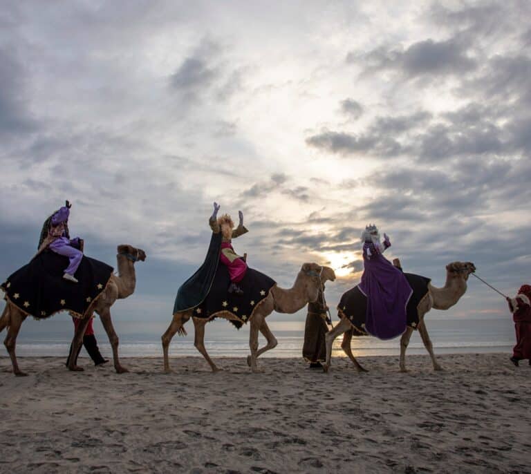 Un centenar de artistas piden que no haya animales en las cabalgatas de Reyes