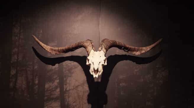 Museo de las brujas