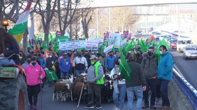 Manifestación de agricultores y ganaderos en Logroño.