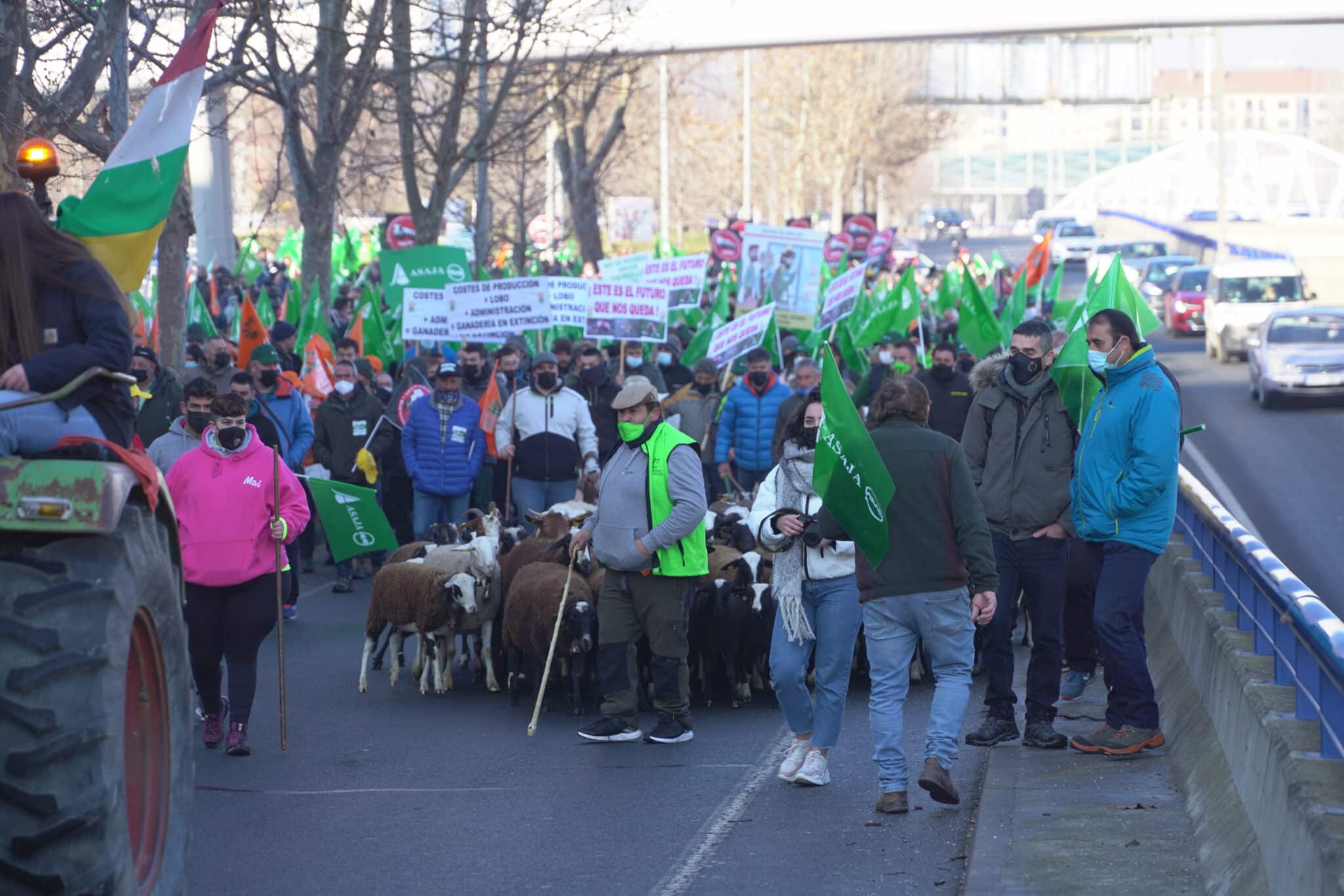 Manifestación de agricultores y ganaderos en Logroño.