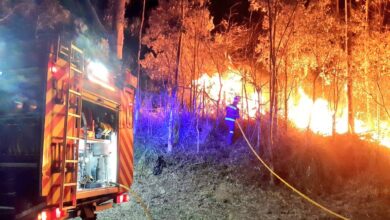 Los 155 incendios de Cantabria han quemado más de 1.500 hectáreas en 16 días